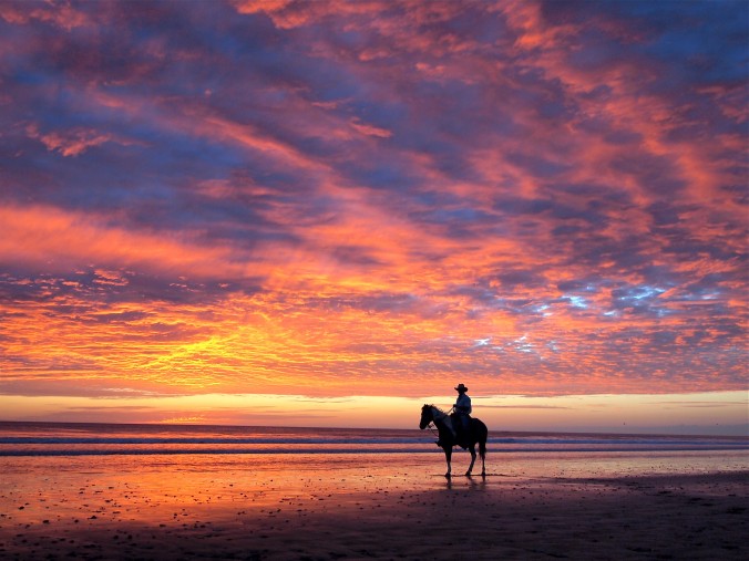 Horseback beach sunset